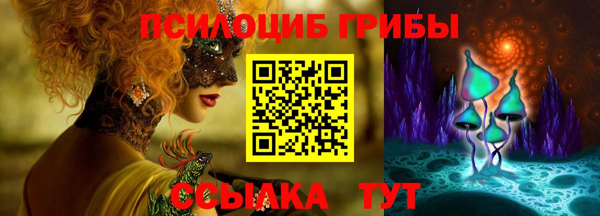 Галлюциногенные грибы MAGIC MUSHROOMS  Вход с VPN  Петропавловск-Камчатский  Галлюциногенные грибы прущие грибы 