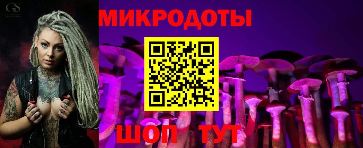 Галлюциногенные грибы Psilocybine cubensis Петропавловск-Камчатский